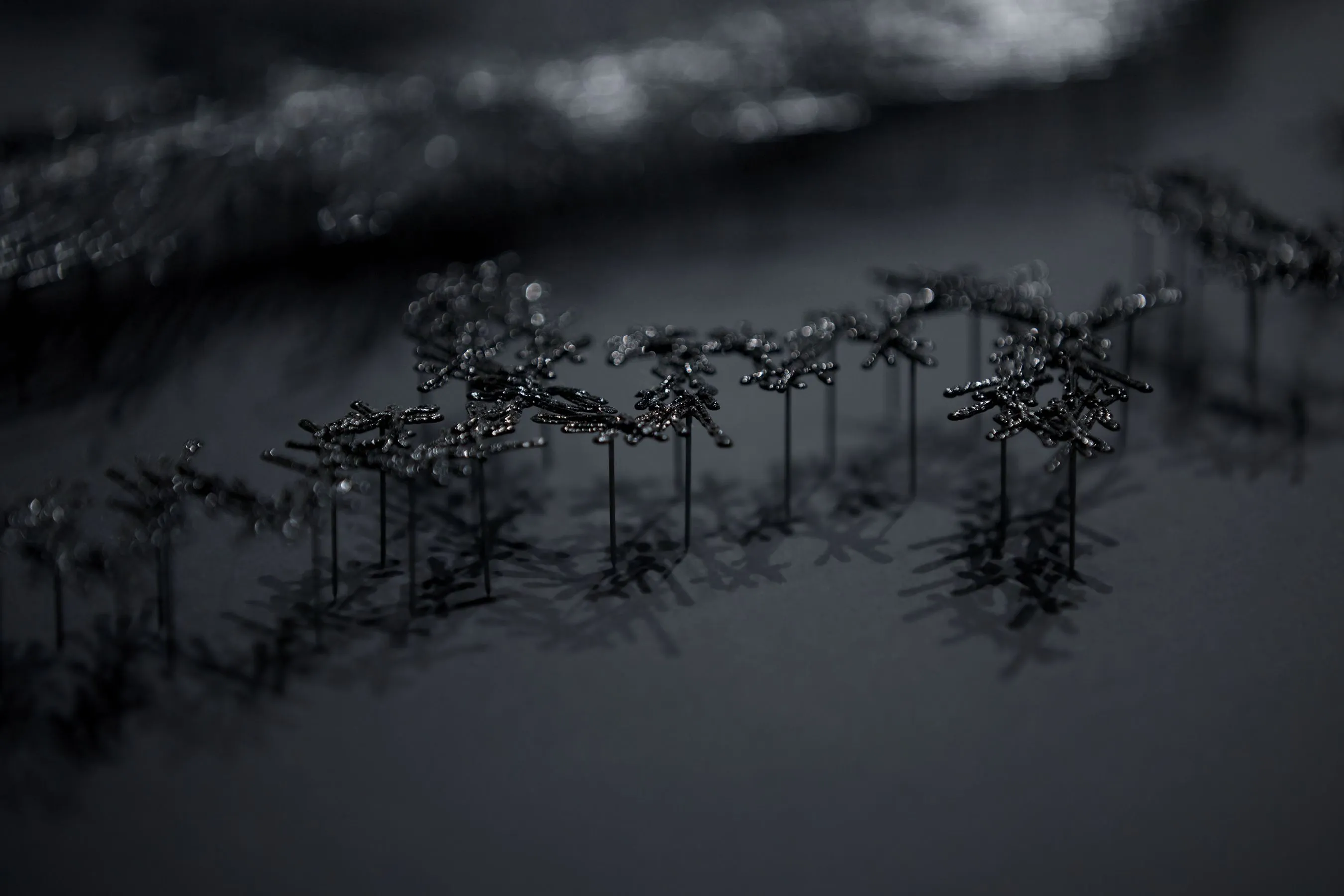 東京展 「Ginza Graphic Gallery」