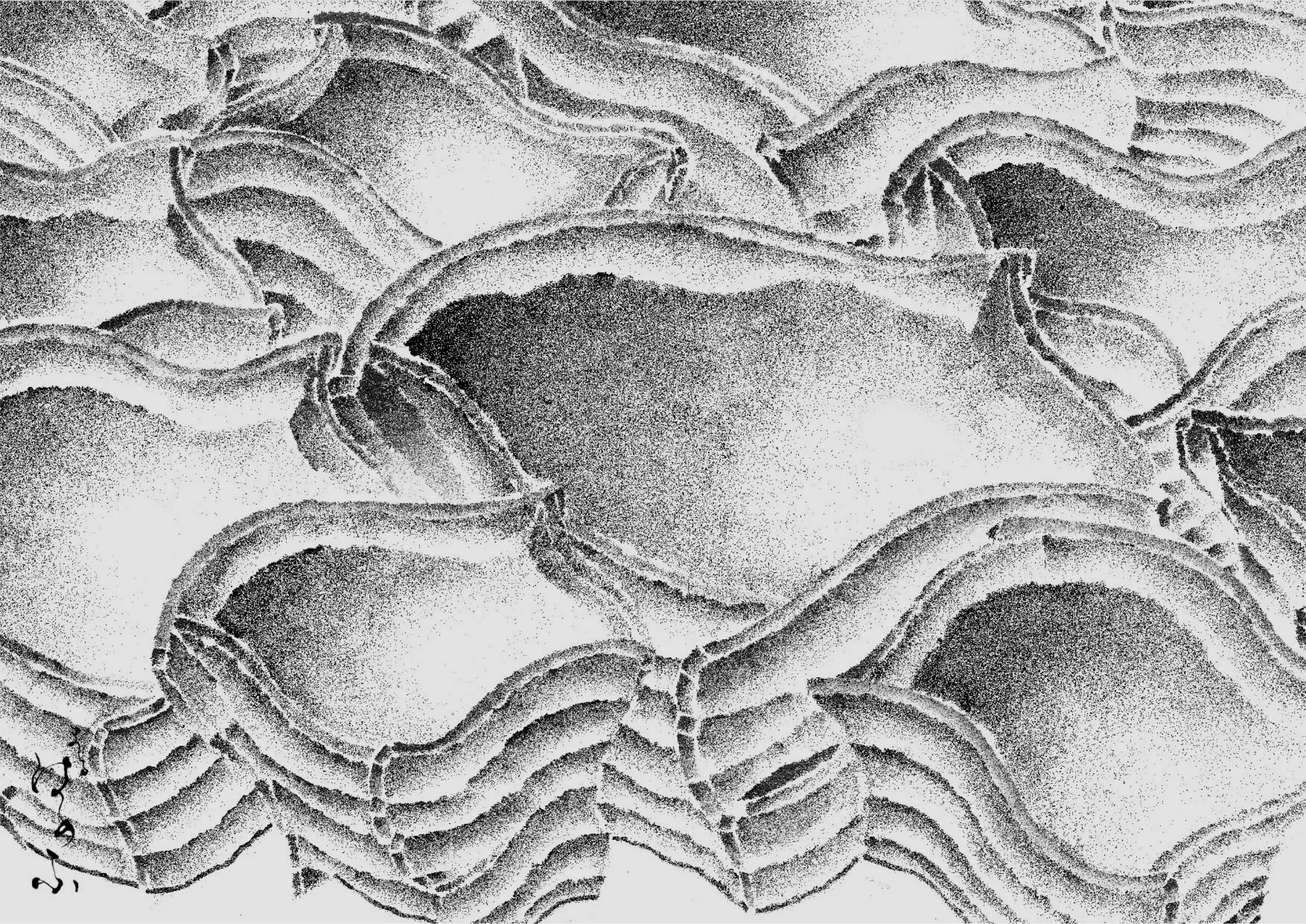 まるは醤油